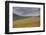 Fields of gold and silver-Valda Bailey-Framed Photographic Print