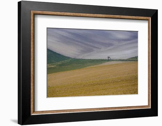 Fields of gold and silver-Valda Bailey-Framed Photographic Print