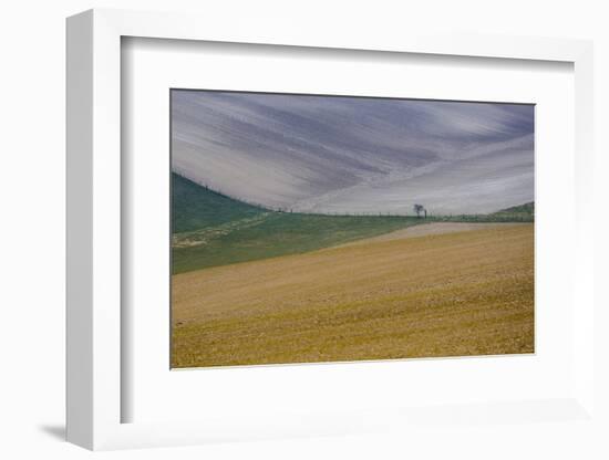 Fields of gold and silver-Valda Bailey-Framed Photographic Print