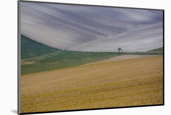 Fields of gold and silver-Valda Bailey-Mounted Photographic Print