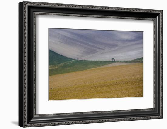 Fields of gold and silver-Valda Bailey-Framed Photographic Print