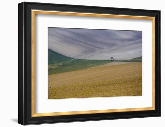 Fields of gold and silver-Valda Bailey-Framed Photographic Print
