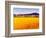 Fields of Gold-Gail Wells-Hess-Framed Art Print