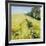 Fields of Gold-Nel Whatmore-Framed Art Print