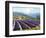 Fields of Lavender-Michael Swanson-Framed Art Print