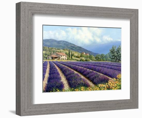 Fields of Lavender-Michael Swanson-Framed Premium Giclee Print