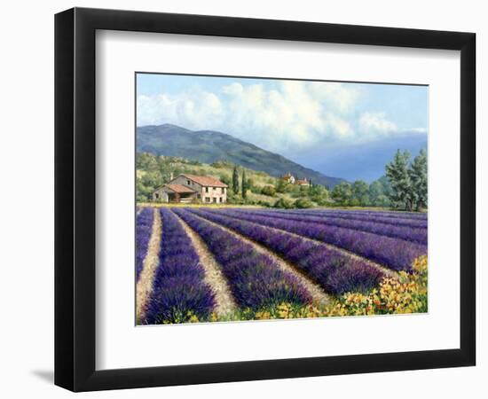 Fields of Lavender-Michael Swanson-Framed Premium Giclee Print