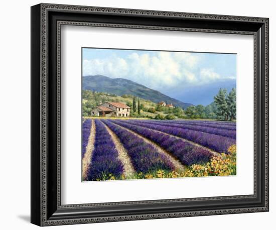 Fields of Lavender-Michael Swanson-Framed Premium Giclee Print