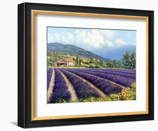 Fields of Lavender-Michael Swanson-Framed Premium Giclee Print