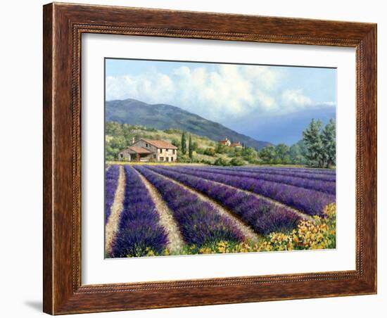 Fields of Lavender-Michael Swanson-Framed Art Print