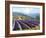 Fields of Lavender-Michael Swanson-Framed Art Print