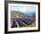 Fields of Lavender-Michael Swanson-Framed Art Print