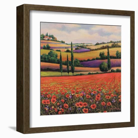 Fields of Poppies I-TC Chiu-Framed Art Print