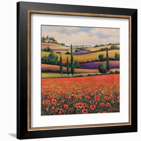 Fields of Poppies I-TC Chiu-Framed Art Print