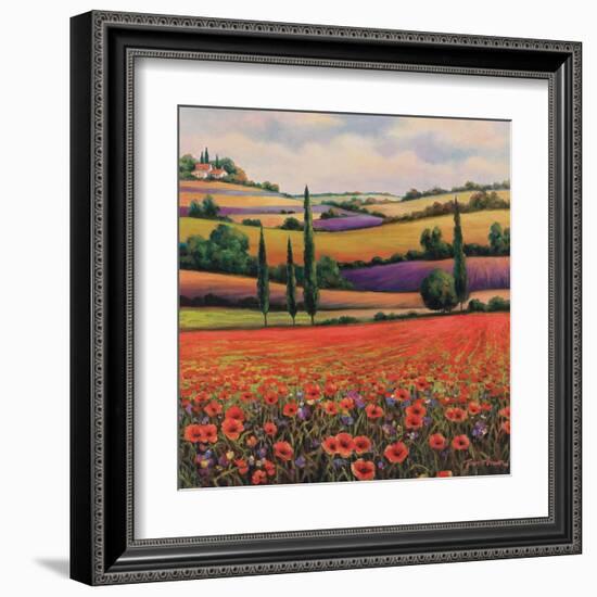 Fields of Poppies I-TC Chiu-Framed Art Print