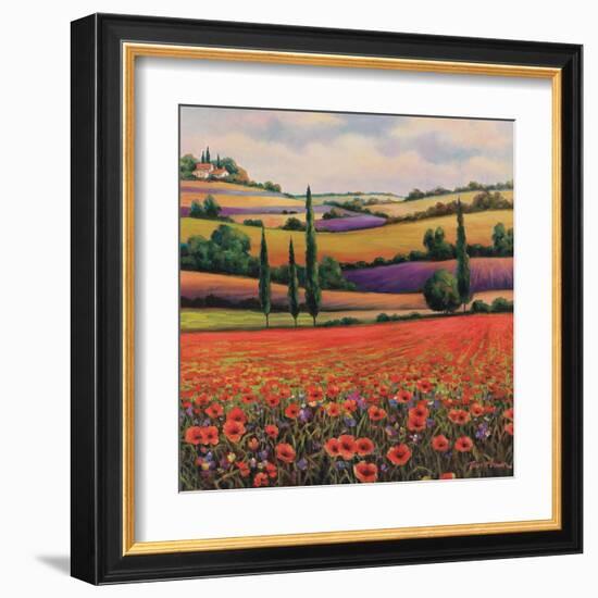 Fields of Poppies I-TC Chiu-Framed Art Print