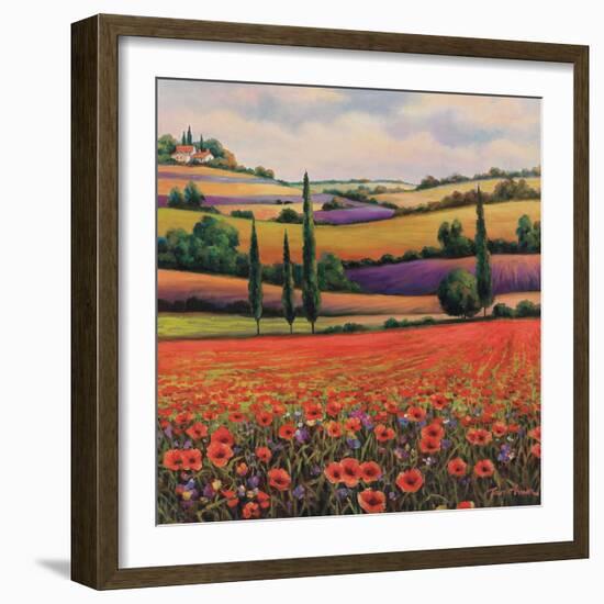 Fields of Poppies I-TC Chiu-Framed Art Print