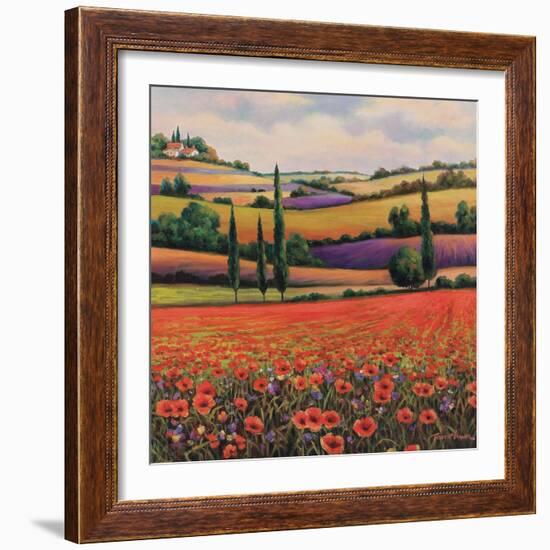 Fields of Poppies I-TC Chiu-Framed Art Print