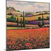 Fields of Poppies I-TC Chiu-Mounted Art Print