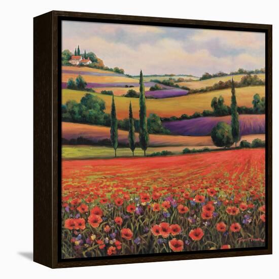 Fields of Poppies I-TC Chiu-Framed Stretched Canvas