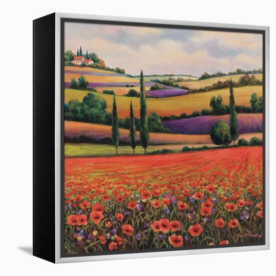 Fields of Poppies I-TC Chiu-Framed Stretched Canvas