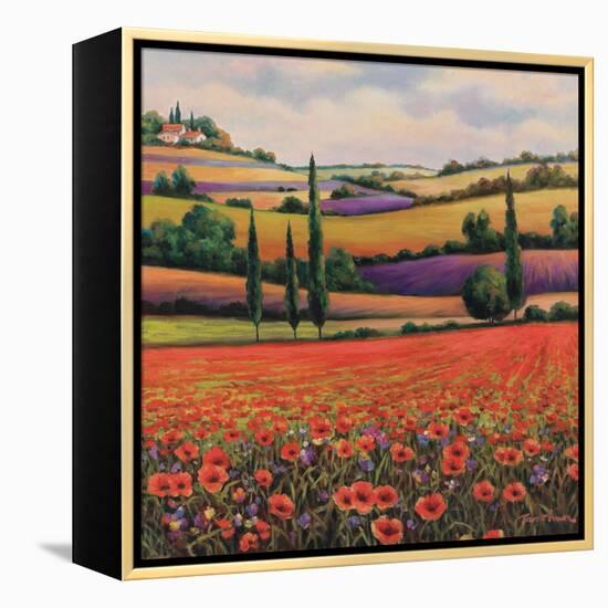 Fields of Poppies I-TC Chiu-Framed Stretched Canvas