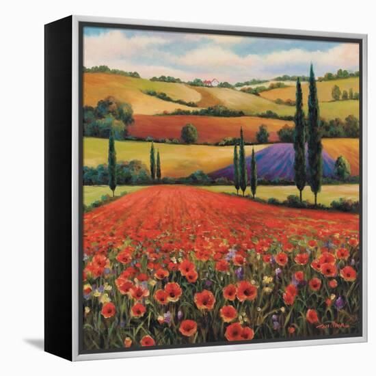 Fields of Poppies II-TC Chiu-Framed Stretched Canvas