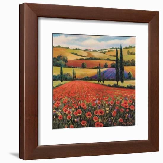 Fields of Poppies II-TC Chiu-Framed Art Print