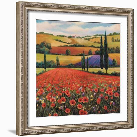 Fields of Poppies II-TC Chiu-Framed Art Print