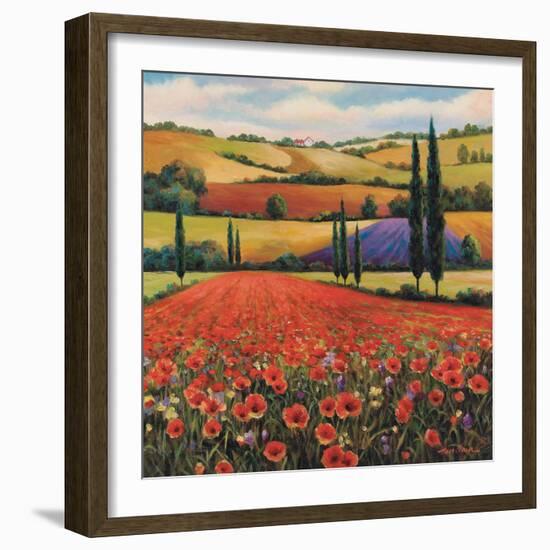 Fields of Poppies II-TC Chiu-Framed Art Print