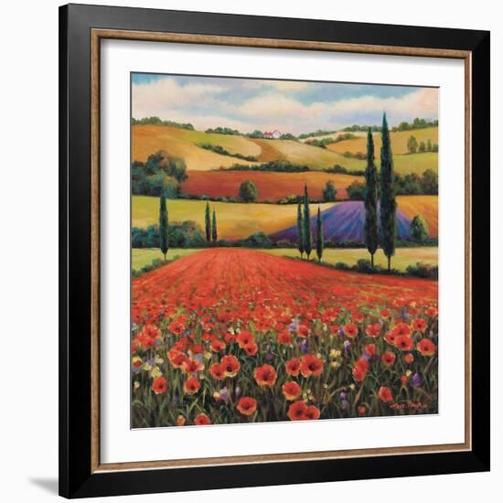 Fields of Poppies II-TC Chiu-Framed Art Print