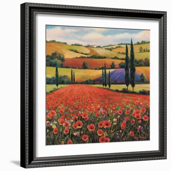 Fields of Poppies II-TC Chiu-Framed Art Print