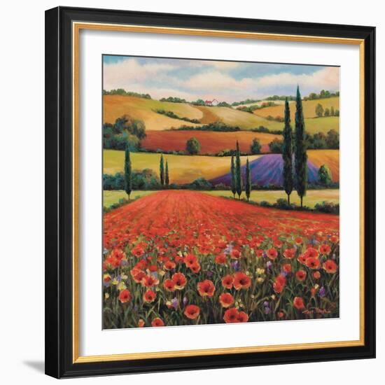 Fields of Poppies II-TC Chiu-Framed Art Print