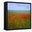 Fields of Poppies, Valley of the Somme, Nord-Picardy (Somme), France-David Hughes-Framed Premier Image Canvas