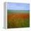 Fields of Poppies, Valley of the Somme, Nord-Picardy (Somme), France-David Hughes-Framed Premier Image Canvas