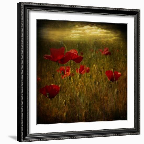 Fields of Red I-Barbara Simmons-Framed Giclee Print