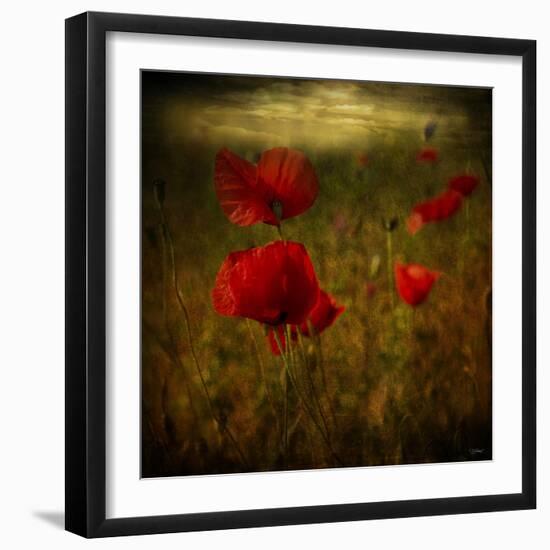 Fields of Red II-Barbara Simmons-Framed Giclee Print