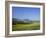 Fields of Sunflowers, Near Ronda, Andalucia (Andalusia), Spain, Europe-Ruth Tomlinson-Framed Photographic Print