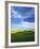 Fields of Wheat and Canola, Palouse, Whitman County, Washington, USA-Charles Gurche-Framed Photographic Print