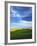 Fields of Wheat and Canola, Palouse, Whitman County, Washington, USA-Charles Gurche-Framed Photographic Print