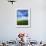 Fields of Wheat and Canola, Palouse, Whitman County, Washington, USA-Charles Gurche-Framed Photographic Print displayed on a wall