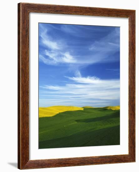 Fields of Wheat and Canola, Palouse, Whitman County, Washington, USA-Charles Gurche-Framed Photographic Print