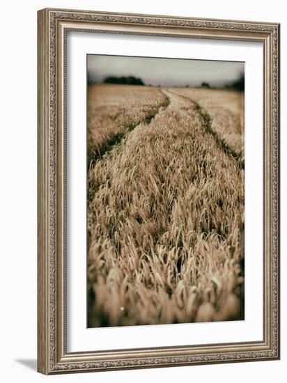 Fields of Wheat-Tim Kahane-Framed Photographic Print