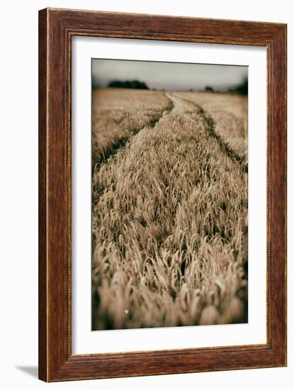 Fields of Wheat-Tim Kahane-Framed Photographic Print