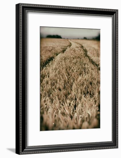 Fields of Wheat-Tim Kahane-Framed Photographic Print