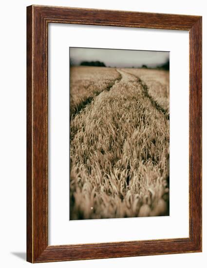 Fields of Wheat-Tim Kahane-Framed Photographic Print