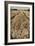 Fields of Wheat-Tim Kahane-Framed Photographic Print