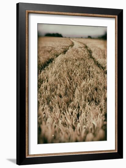 Fields of Wheat-Tim Kahane-Framed Photographic Print