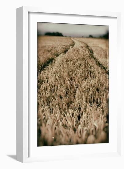 Fields of Wheat-Tim Kahane-Framed Photographic Print