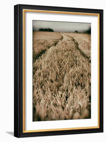 Fields of Wheat-Tim Kahane-Framed Photographic Print